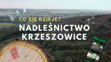 Co się dzieje w Nadleśnictwie Krzeszowice ?