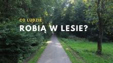 Co ludzie robią w lesie ?